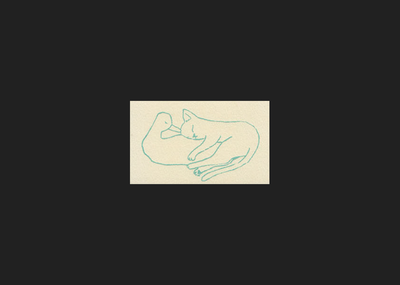 Cat and Duck