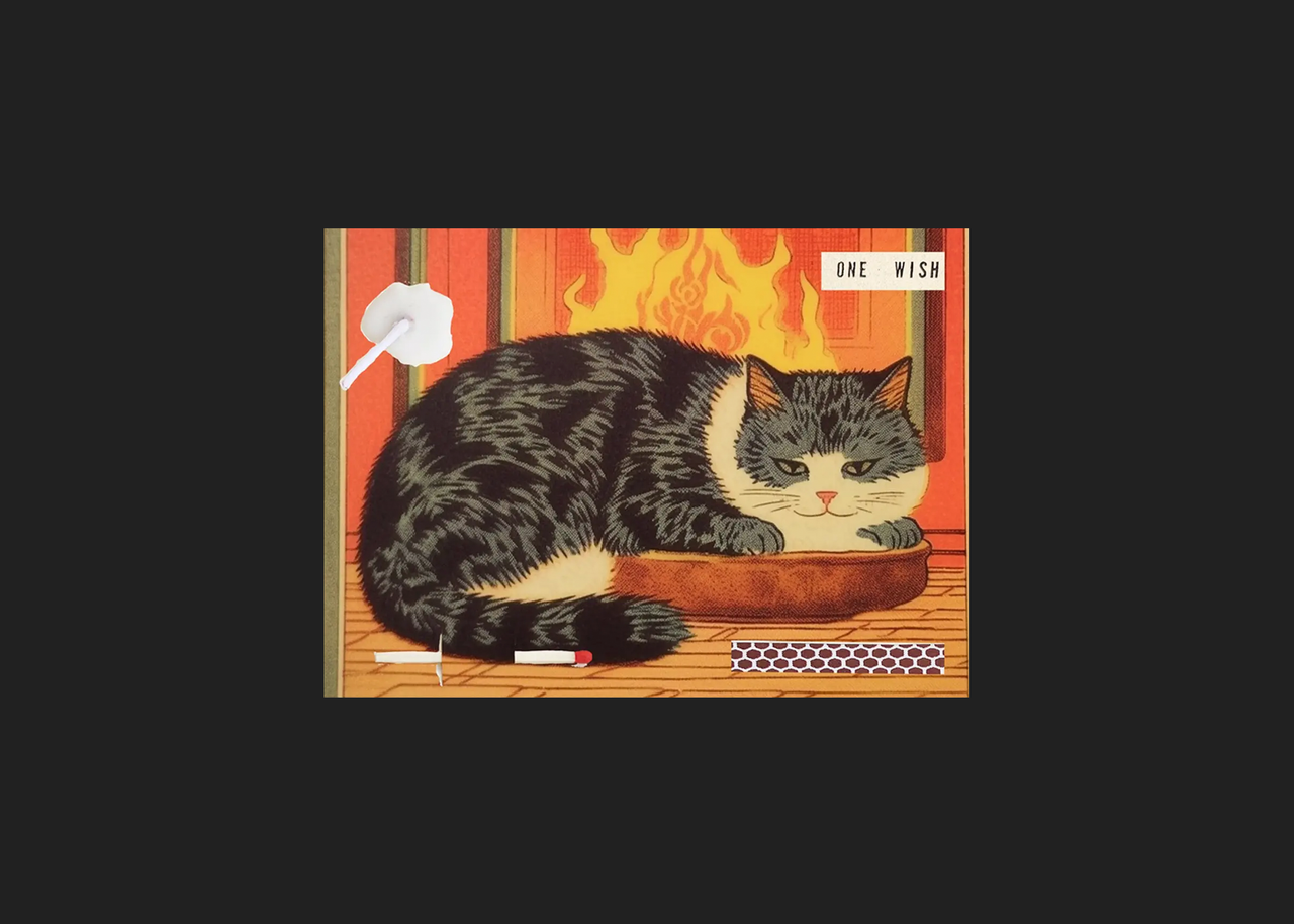 Cozy Cat