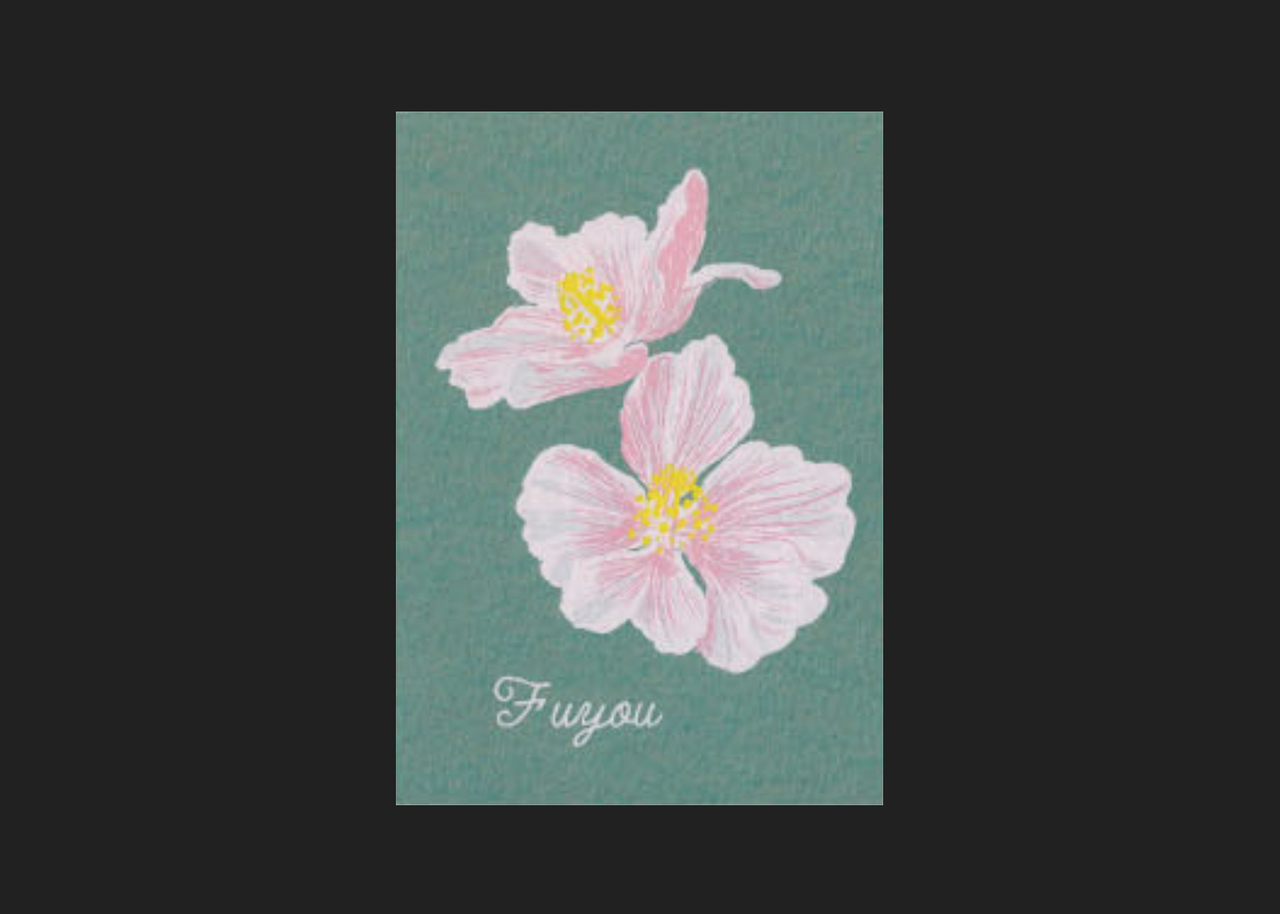 Hibiscus Flower