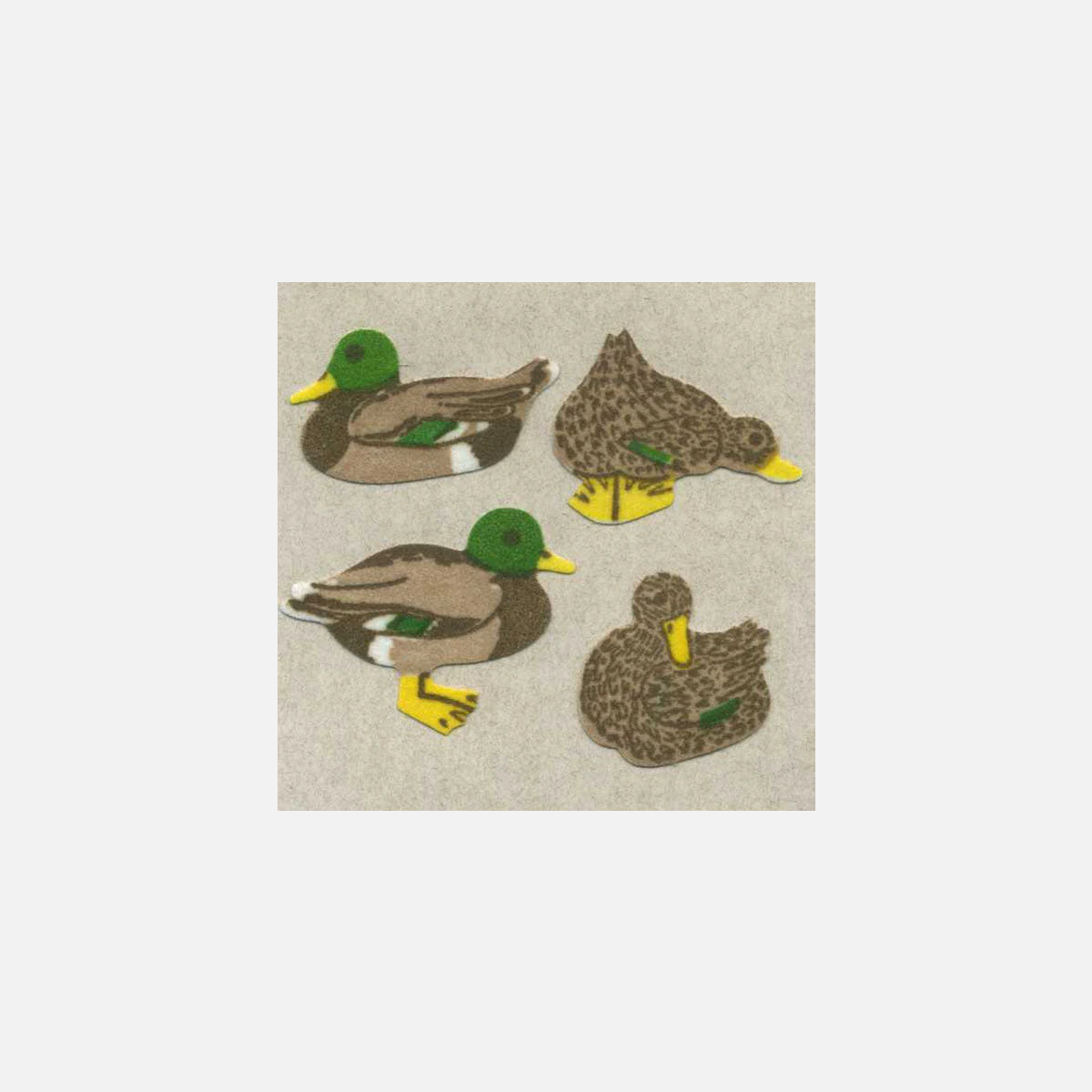 Mallard Ducks