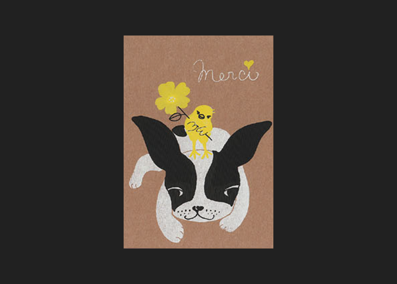 Merci Boston Terrier