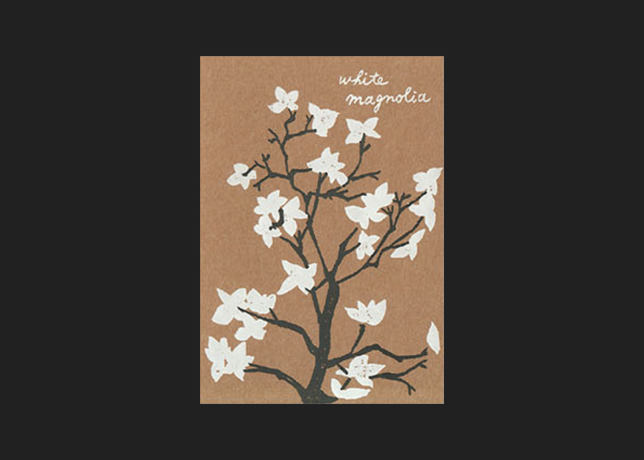 White Magnolia