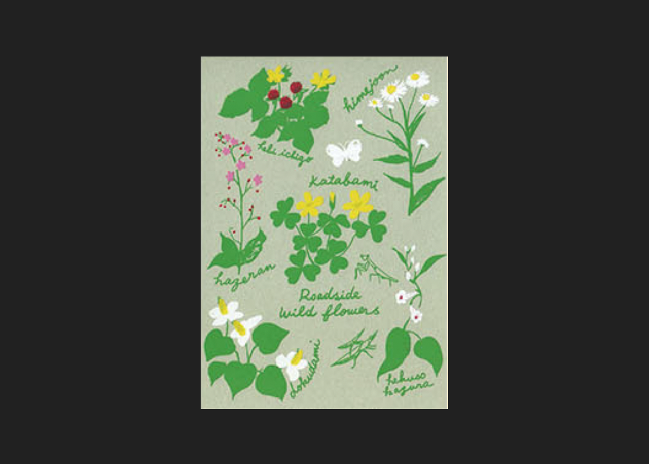 Wild Flowers