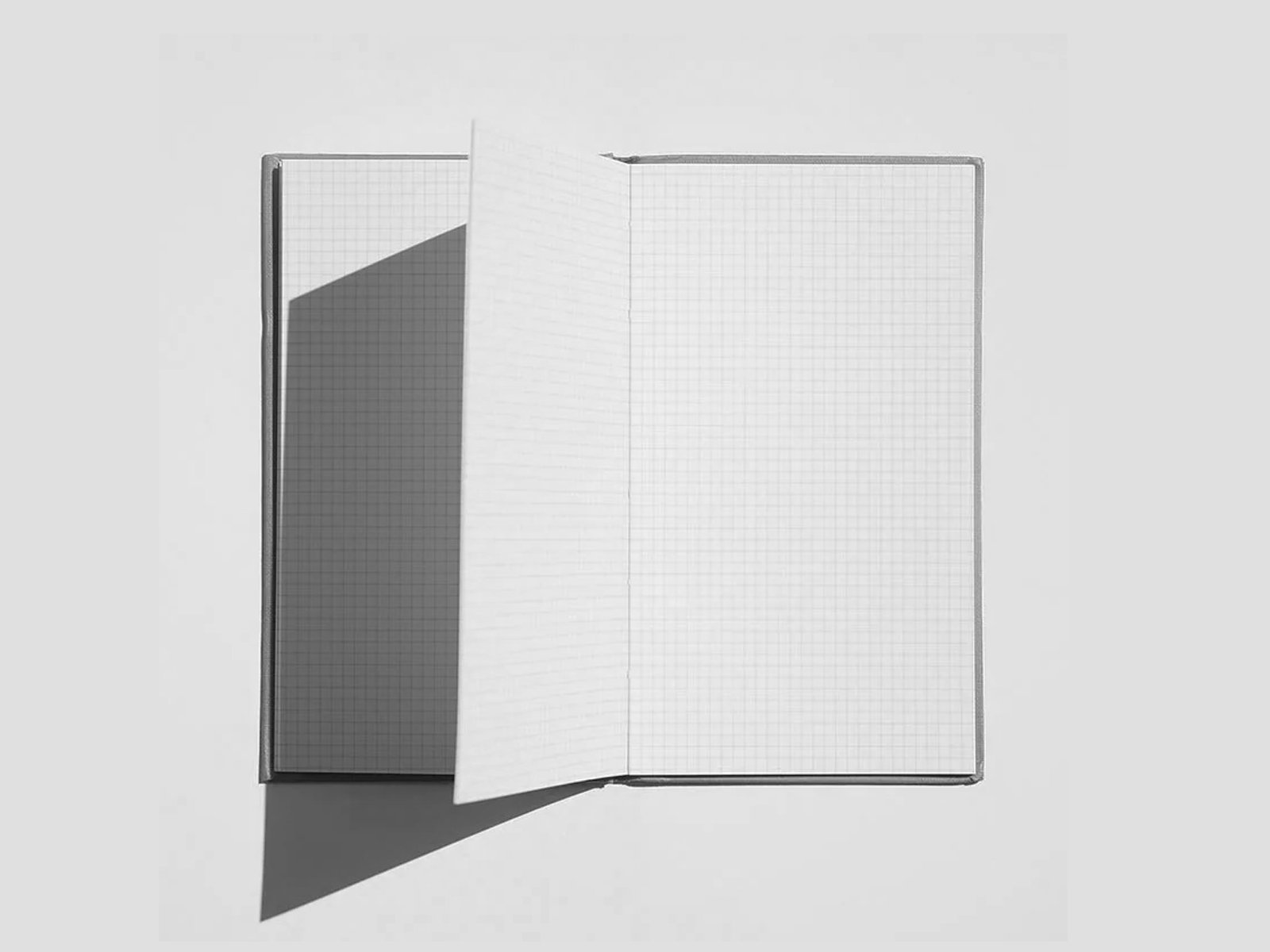 Field Notebook | Beige