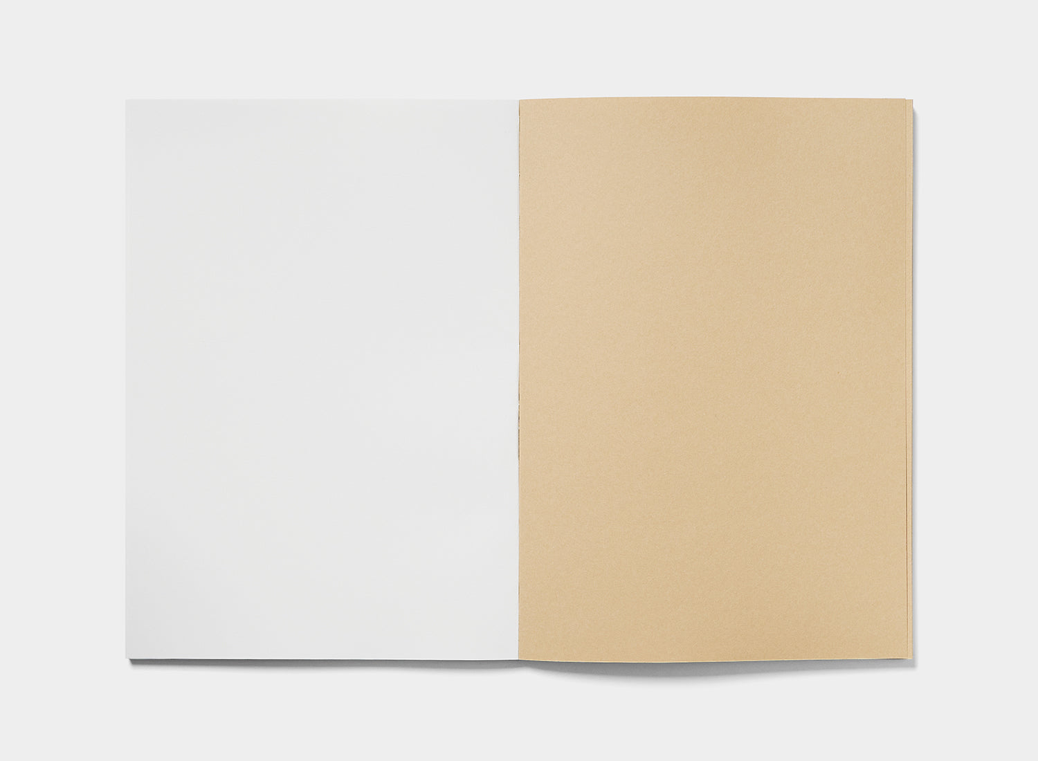 Caprice Notebook | Light Gray