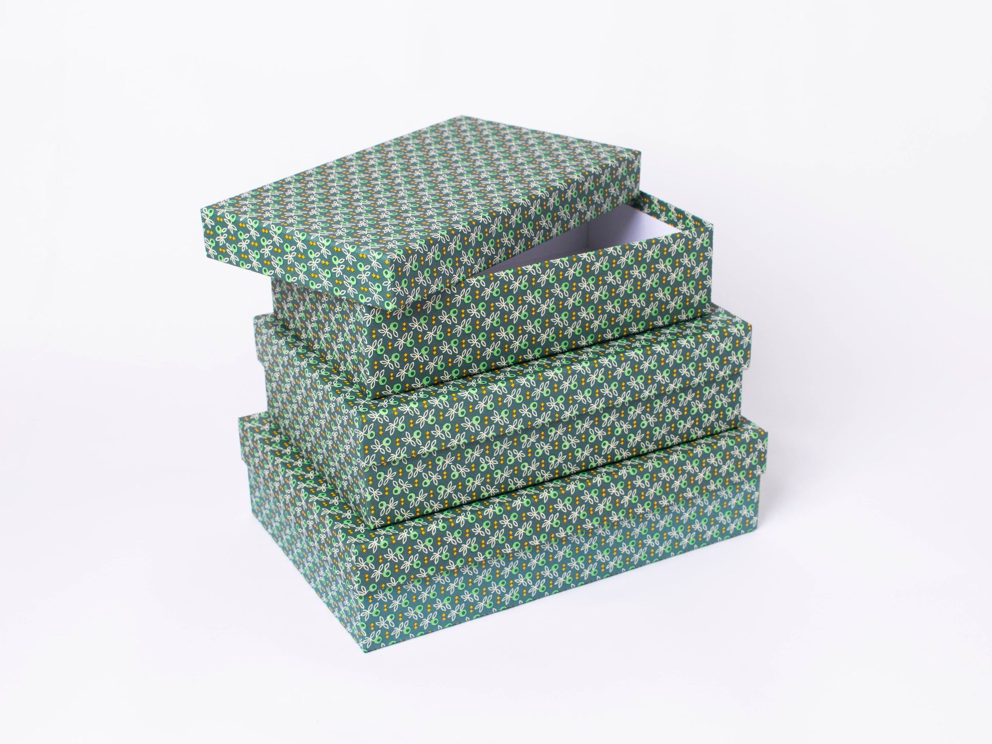 Carta Varese Boxes | No. 912 Green Leaves