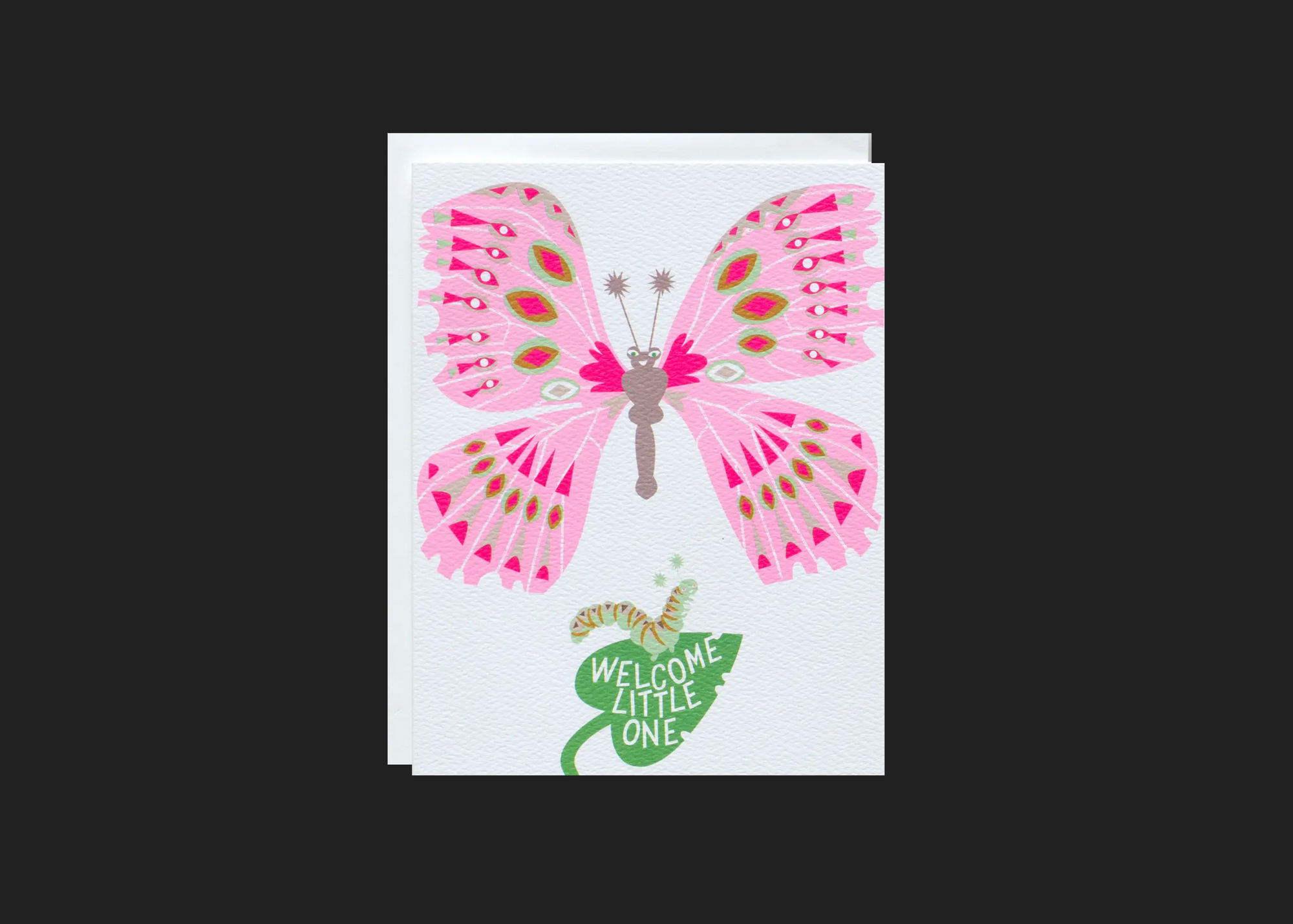 Caterpillar Butterfly