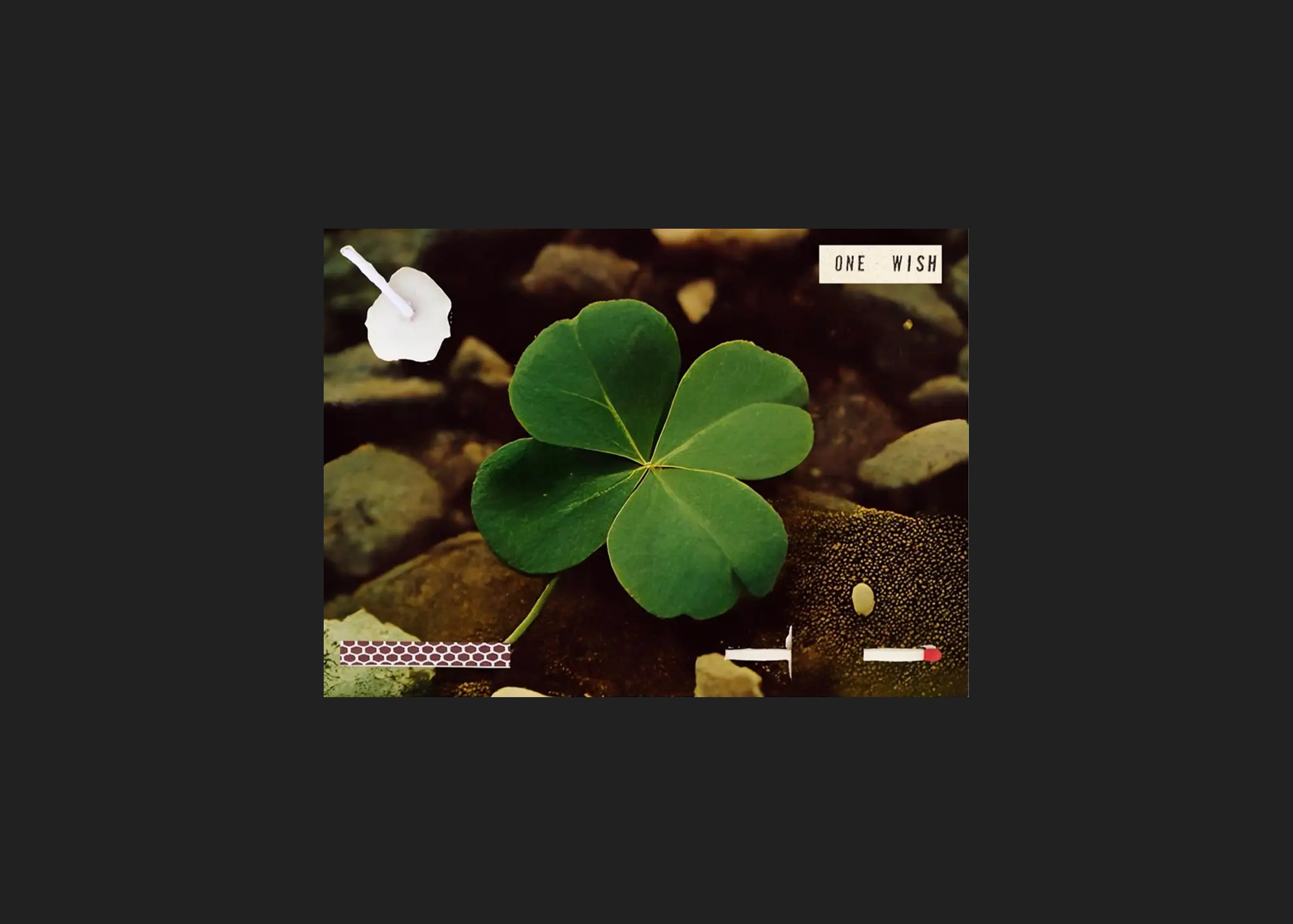 Four Leaf Clover