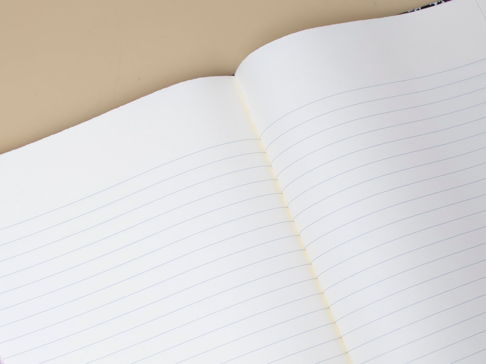 PEB Cloud Notebook | Tulip