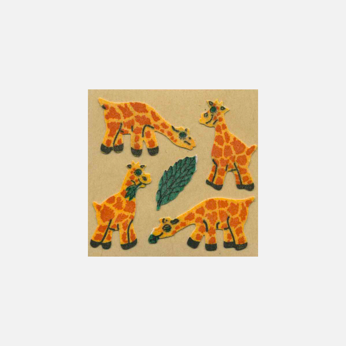 Giraffes