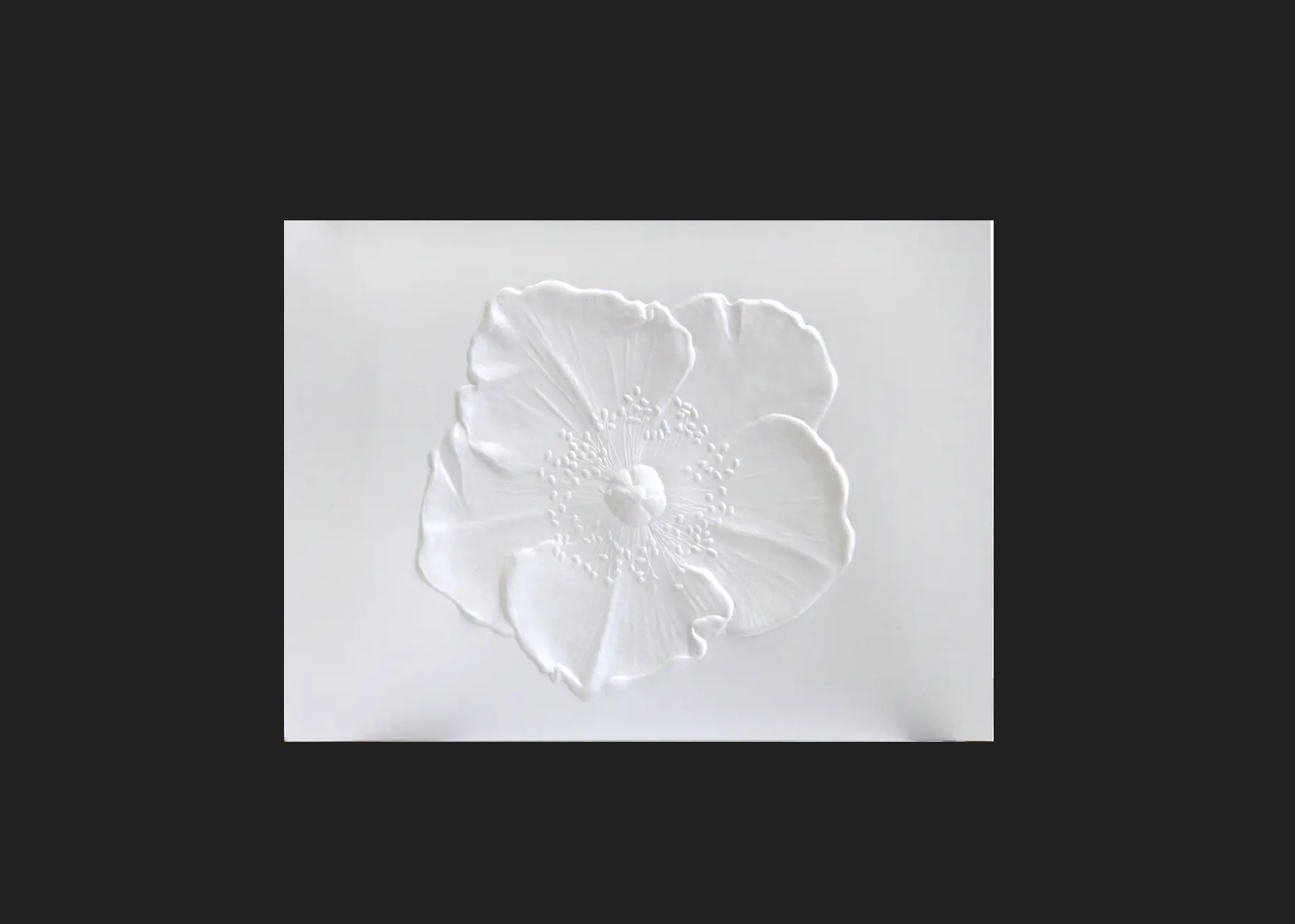 Embossed Icelandic Poppy