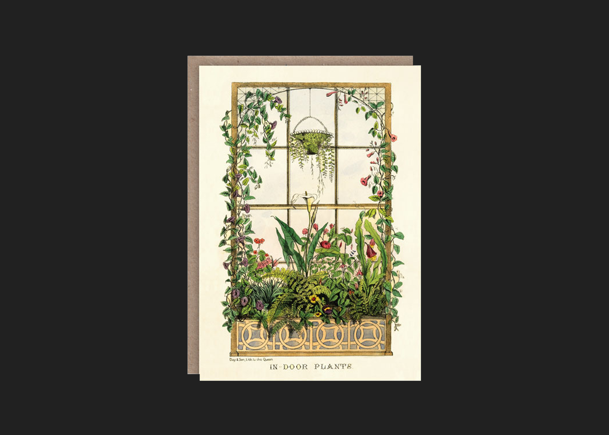 Indoor Plants