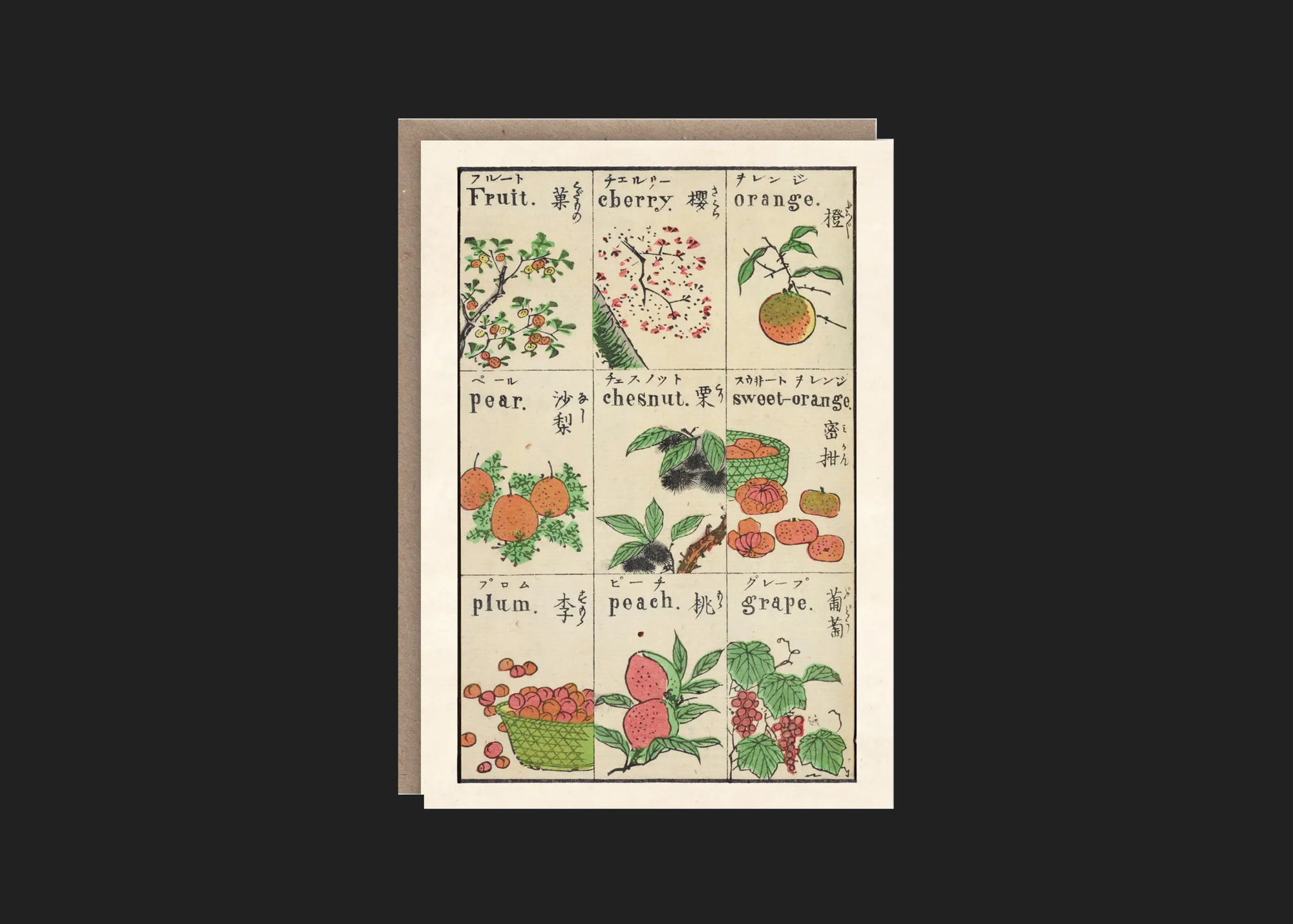 Japanese Fruits