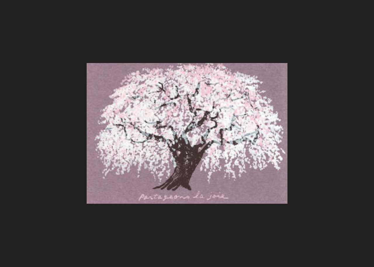 Sakura Blossom Tree