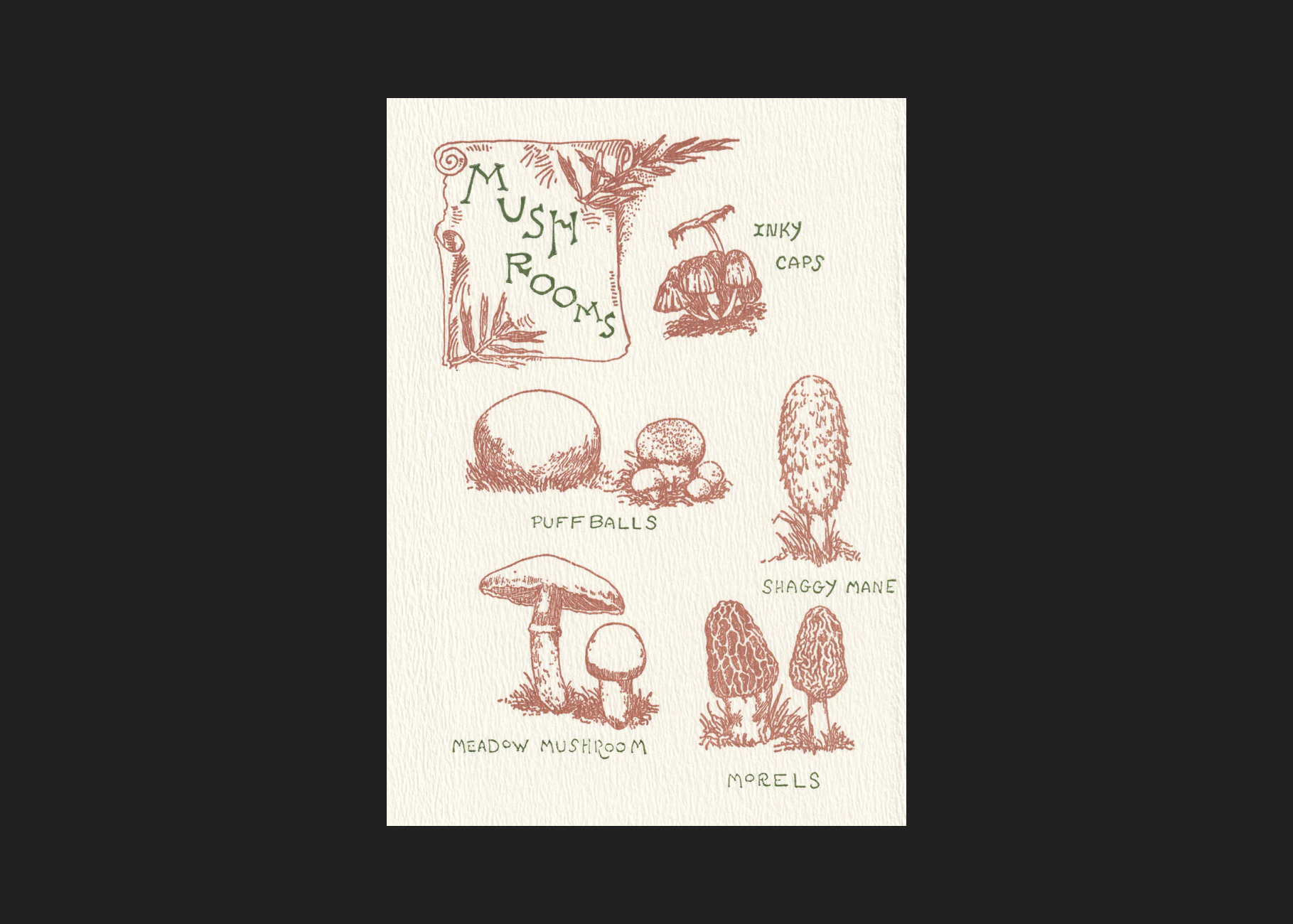 Mushroom Guide