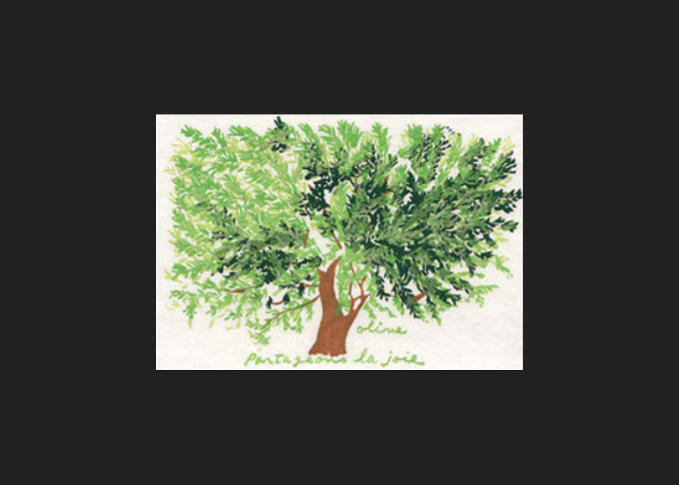 Olive Tree