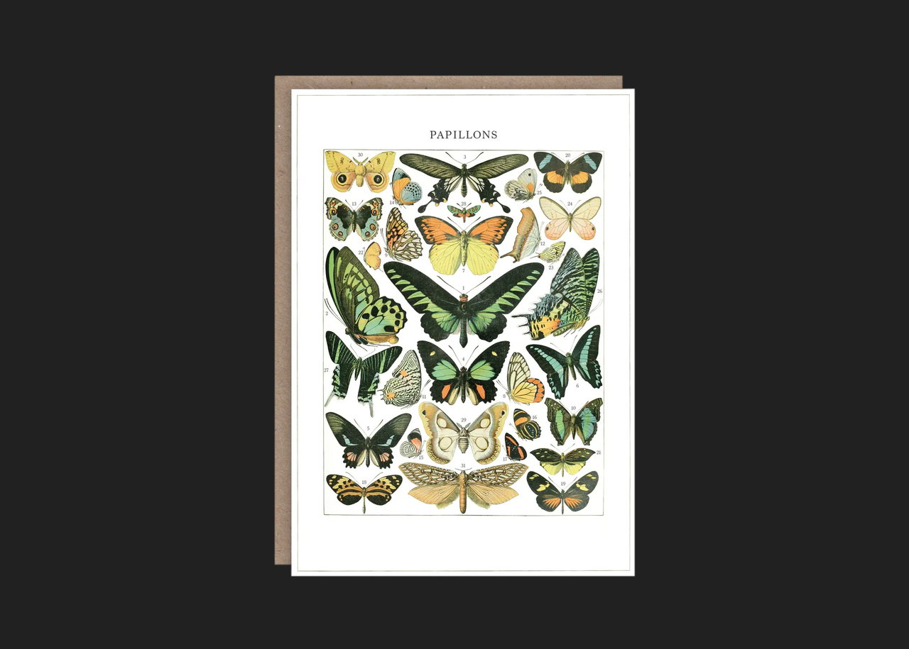 Papillons