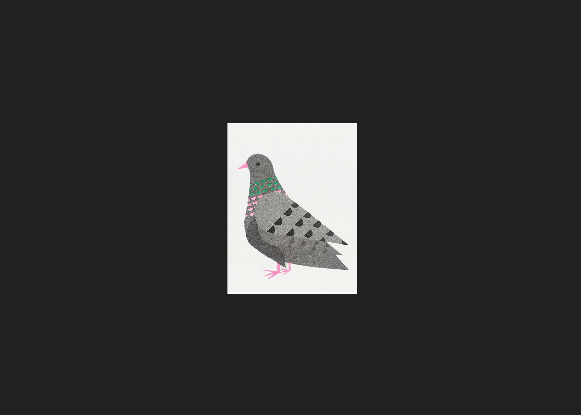 Pigeon Mini Card