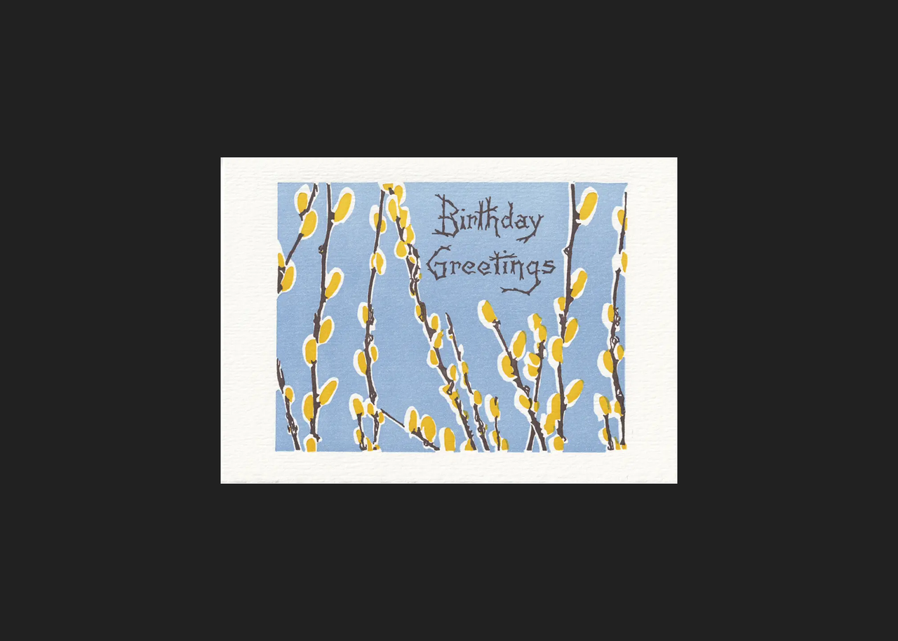 Pussy Willows