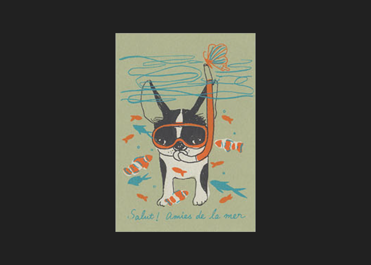 Snorkeling Boston Terrier