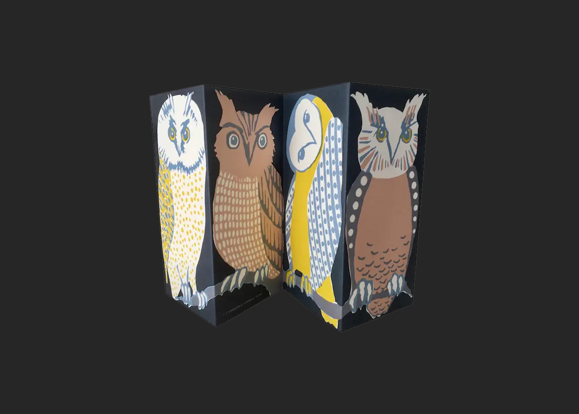 Special Card | Wise Old Birds