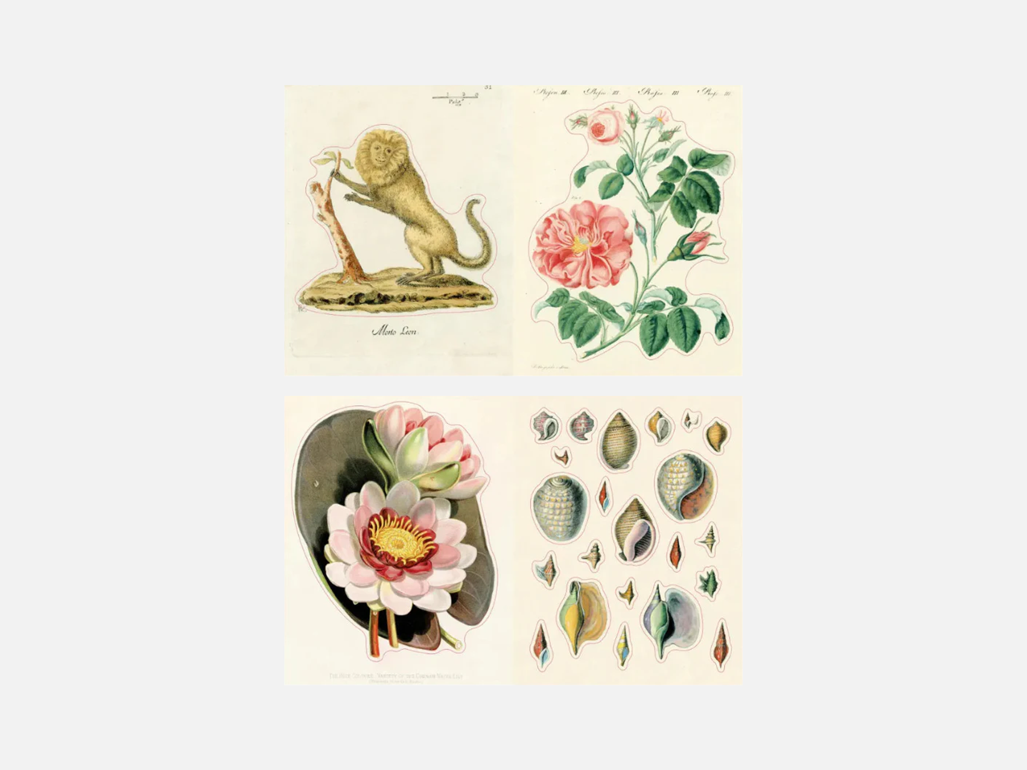 John Derian Sticker Book II