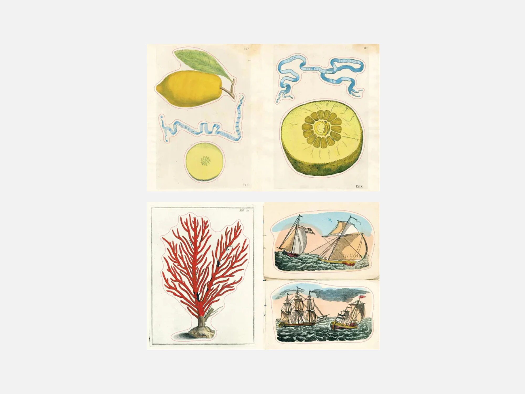 John Derian Sticker Book II