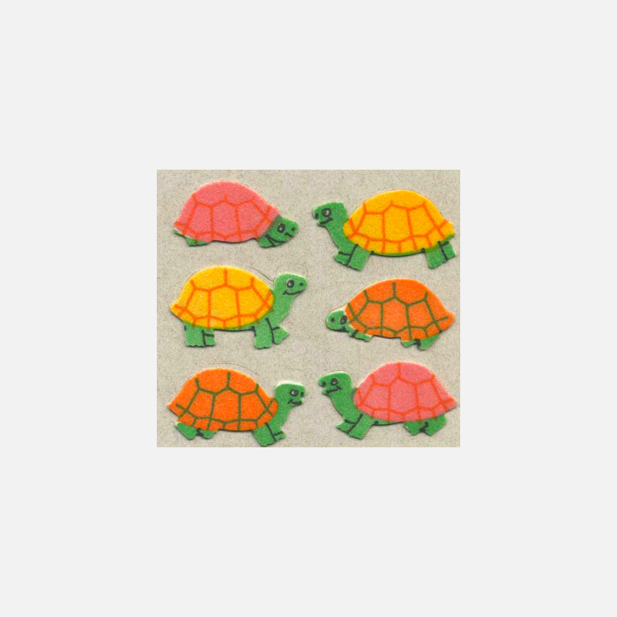 Tortoises
