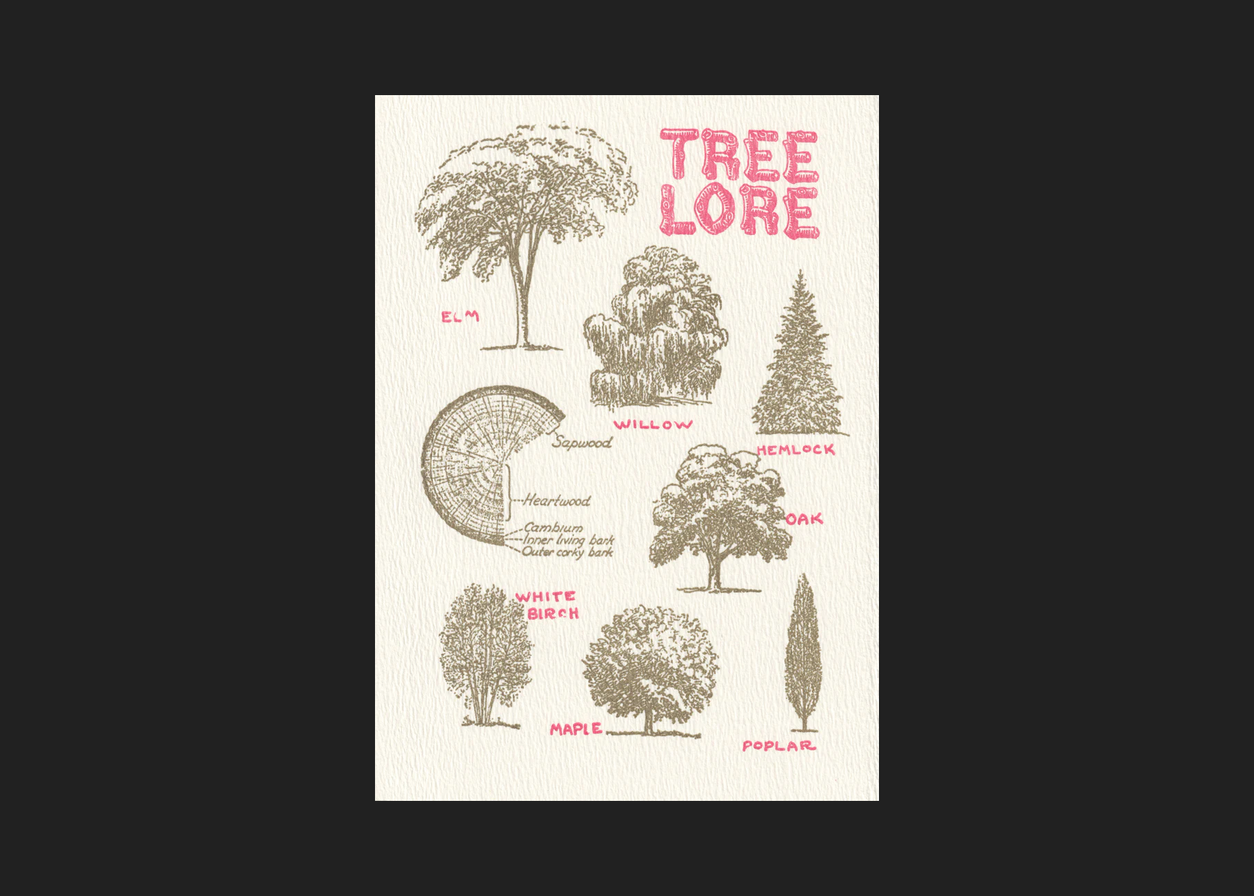 Tree Lore