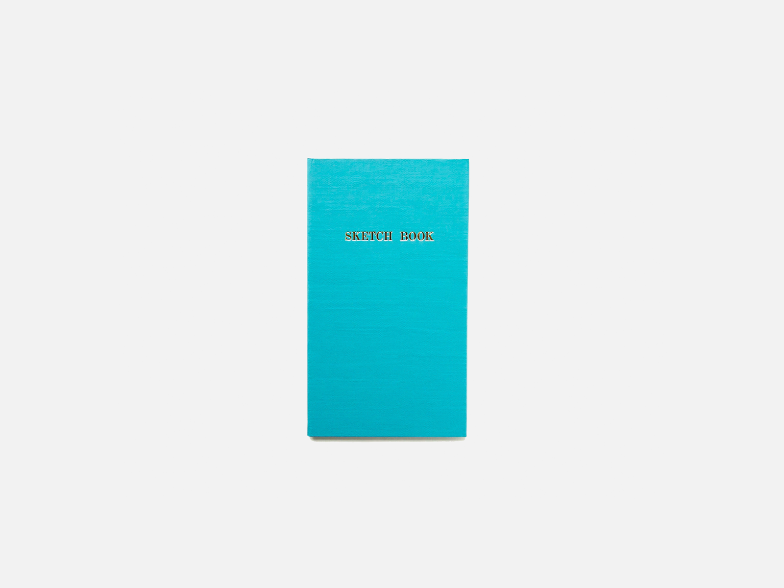 Field Notebook | Blue